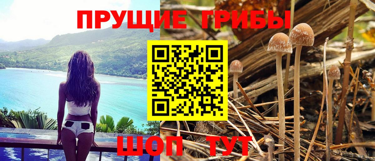 Горячий Ключ  Галлюциногенные грибы MAGIC MUSHROOMS  Вход с VPN 